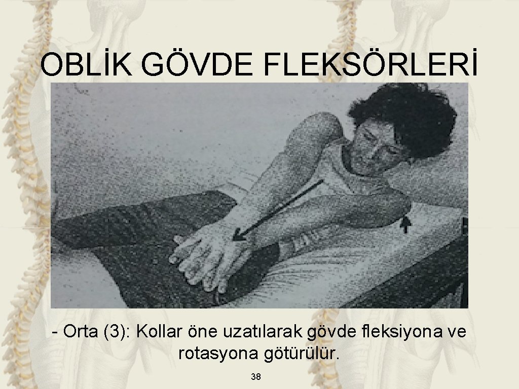 OBLİK GÖVDE FLEKSÖRLERİ - Orta (3): Kollar öne uzatılarak gövde fleksiyona ve rotasyona götürülür.