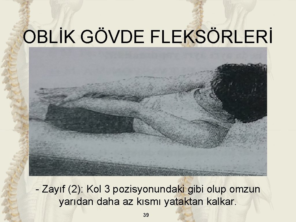 OBLİK GÖVDE FLEKSÖRLERİ - Zayıf (2): Kol 3 pozisyonundaki gibi olup omzun yarıdan daha