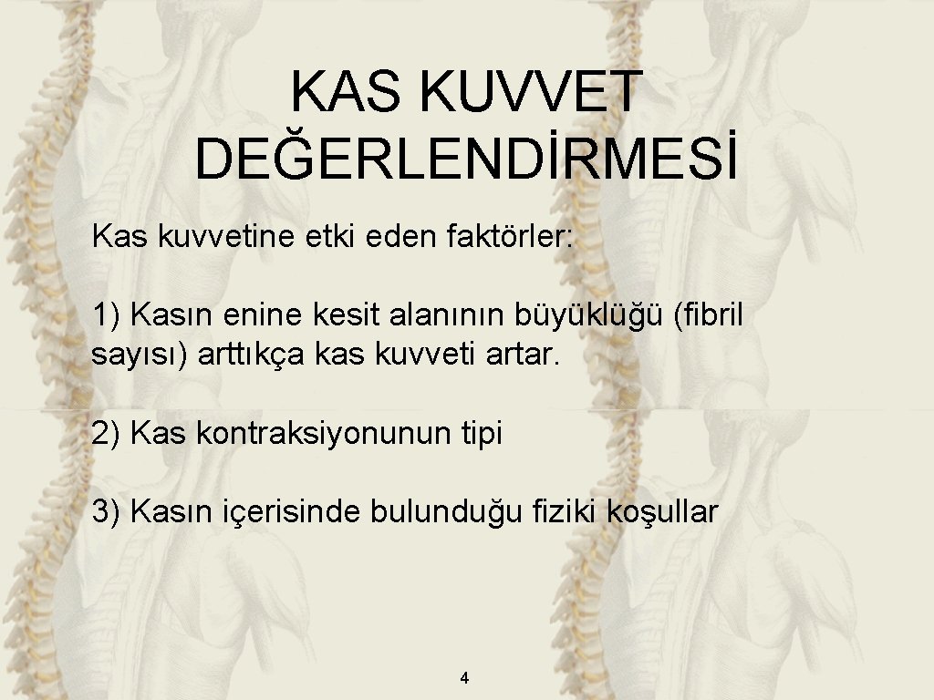 KAS KUVVET DEĞERLENDİRMESİ Kas kuvvetine etki eden faktörler: 1) Kasın enine kesit alanının büyüklüğü