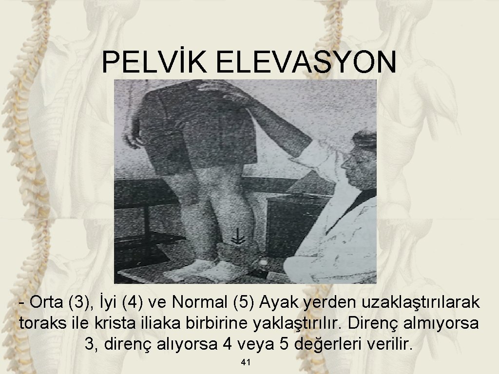 PELVİK ELEVASYON - Orta (3), İyi (4) ve Normal (5) Ayak yerden uzaklaştırılarak toraks