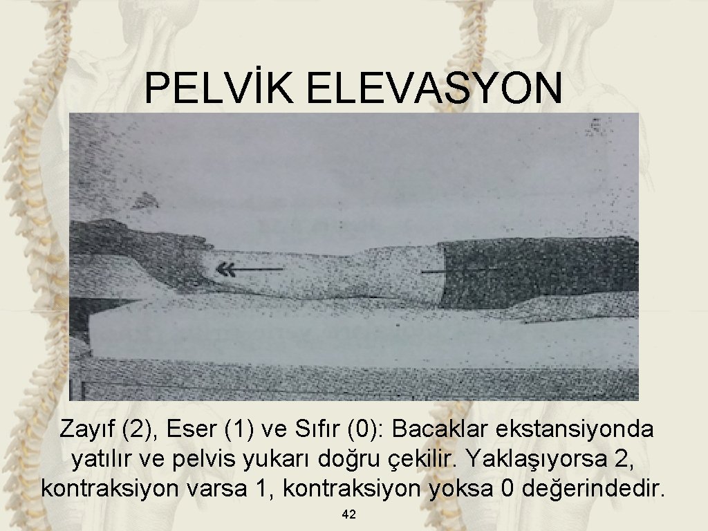 PELVİK ELEVASYON Zayıf (2), Eser (1) ve Sıfır (0): Bacaklar ekstansiyonda yatılır ve pelvis