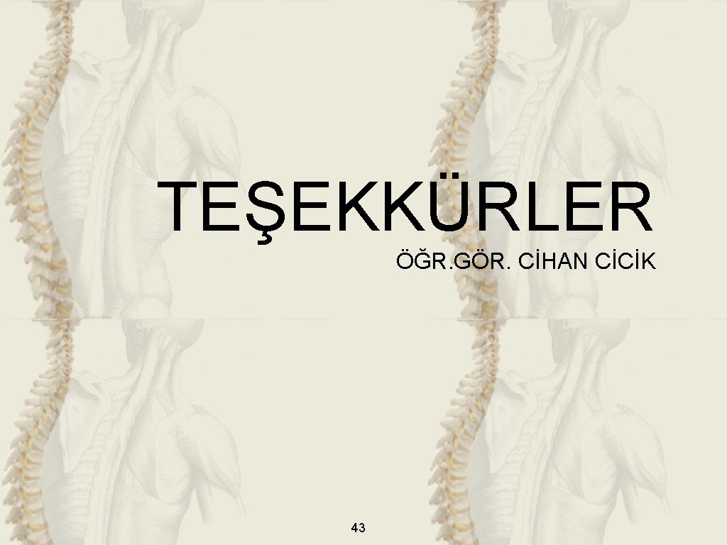 TEŞEKKÜRLER ÖĞR. GÖR. CİHAN CİCİK 43 