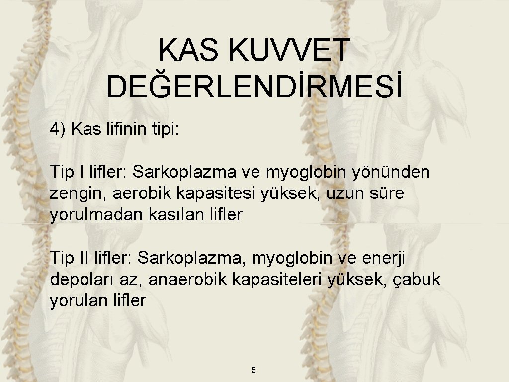 KAS KUVVET DEĞERLENDİRMESİ 4) Kas lifinin tipi: Tip I lifler: Sarkoplazma ve myoglobin yönünden