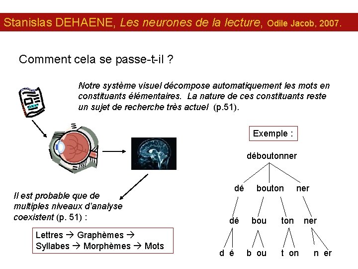 Stanislas DEHAENE, Les neurones de la lecture, Odile Jacob, 2007. Comment cela se passe-t-il