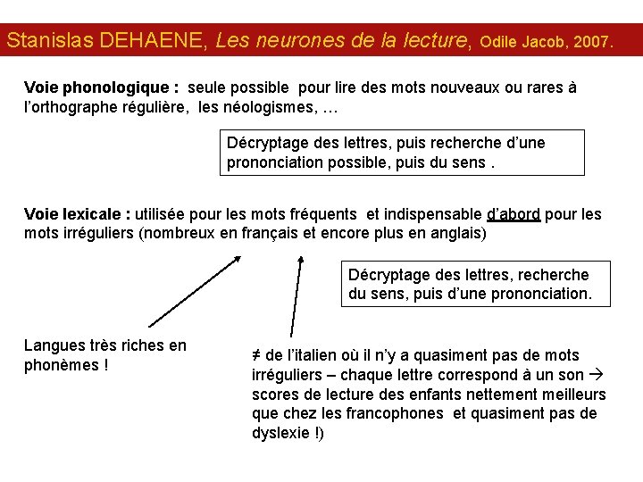 Stanislas DEHAENE, Les neurones de la lecture, Odile Jacob, 2007. Voie phonologique : seule