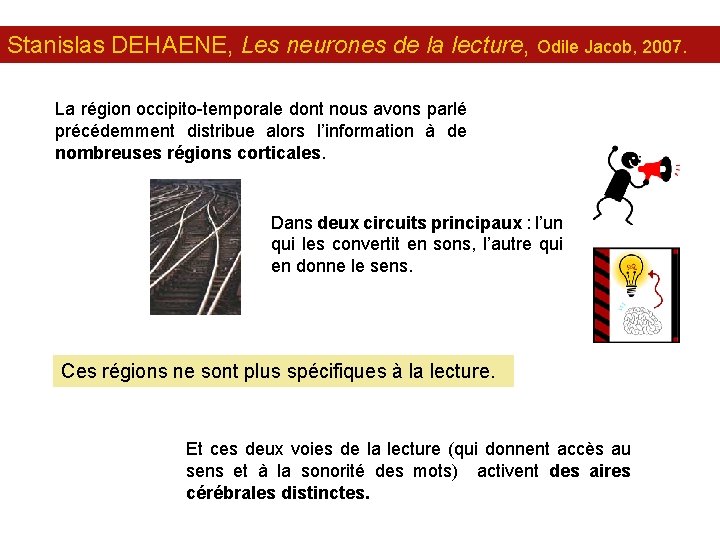 Stanislas DEHAENE, Les neurones de la lecture, Odile Jacob, 2007. La région occipito-temporale dont