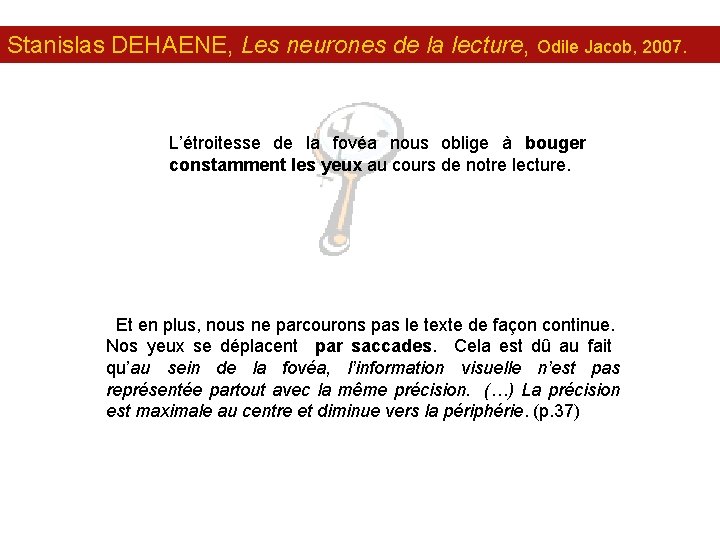 Stanislas DEHAENE, Les neurones de la lecture, Odile Jacob, 2007. L’étroitesse de la fovéa