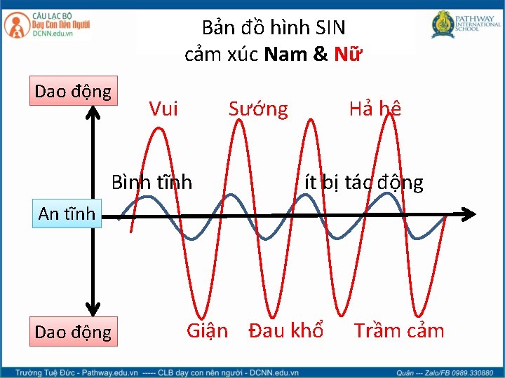 Bản đồ hình SIN cảm xúc Nam & Nữ Dao động Vui Sướng Bình