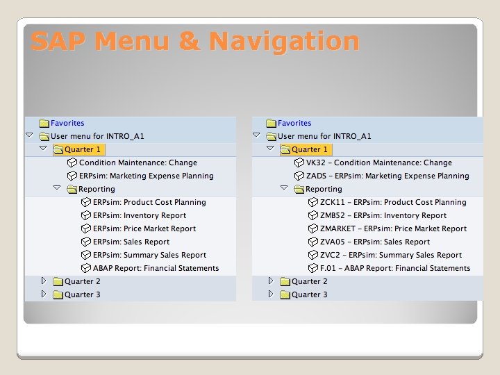 SAP Menu & Navigation 