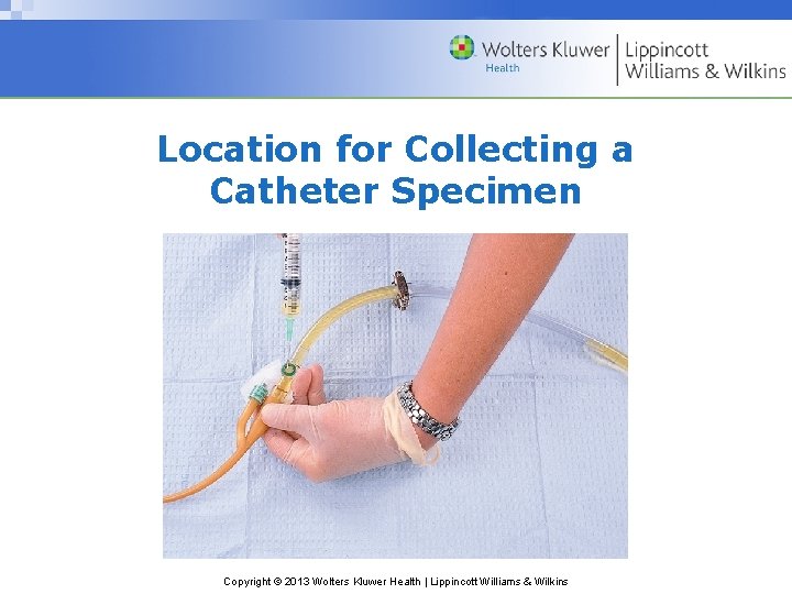 Location for Collecting a Catheter Specimen Copyright © 2013 Wolters Kluwer Health | Lippincott Location for Collecting a Catheter Specimen Copyright © 2013 Wolters Kluwer Health | Lippincott