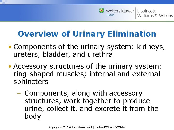 Overview of Urinary Elimination • Components of the urinary system: kidneys, ureters, bladder, and