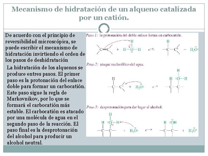 Mecanismo de hidratación de un alqueno catalizada por un catión. De acuerdo con el