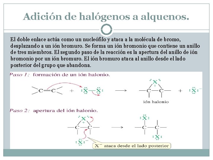 Adición de halógenos a alquenos. El doble enlace actúa como un nucleófilo y ataca