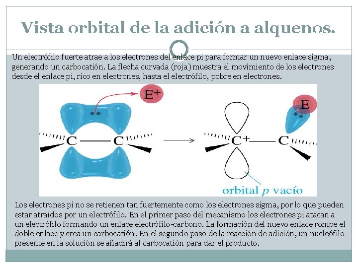 Vista orbital de la adición a alquenos. Un electrófilo fuerte atrae a los electrones