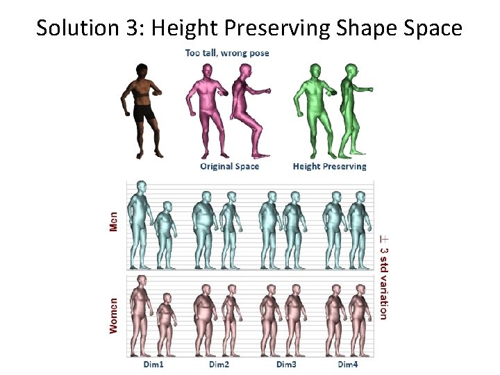 Solution 3: Height Preserving Shape Space 