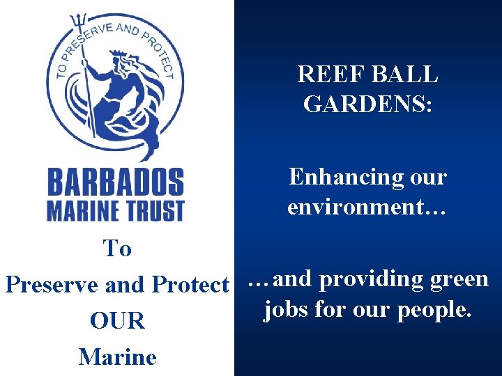 REEF BALL GARDENS: Enhancing our environment… To Preserve and Protect …and providing green jobs