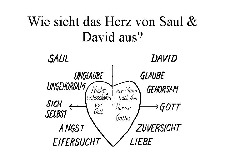 Wie sieht das Herz von Saul & David aus? 