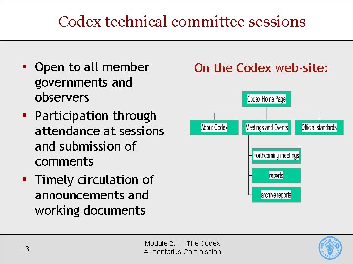 Codex technical committee sessions § Open to all member governments and observers § Participation