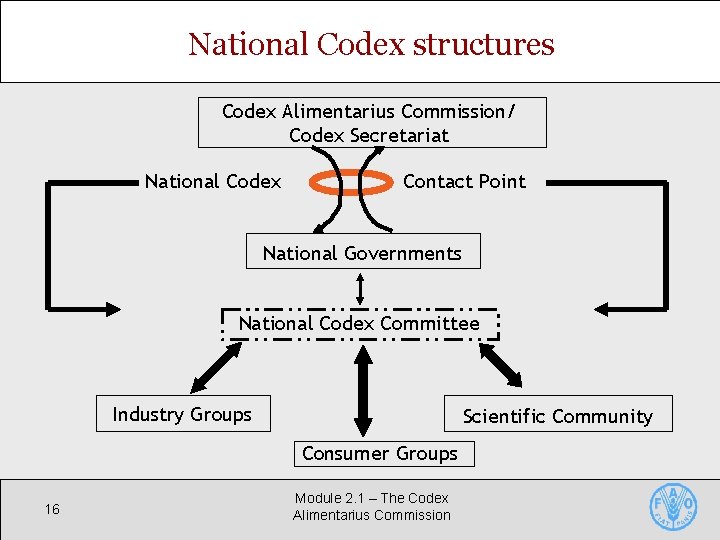National Codex structures Codex Alimentarius Commission/ Codex Secretariat National Codex Contact Point National Governments