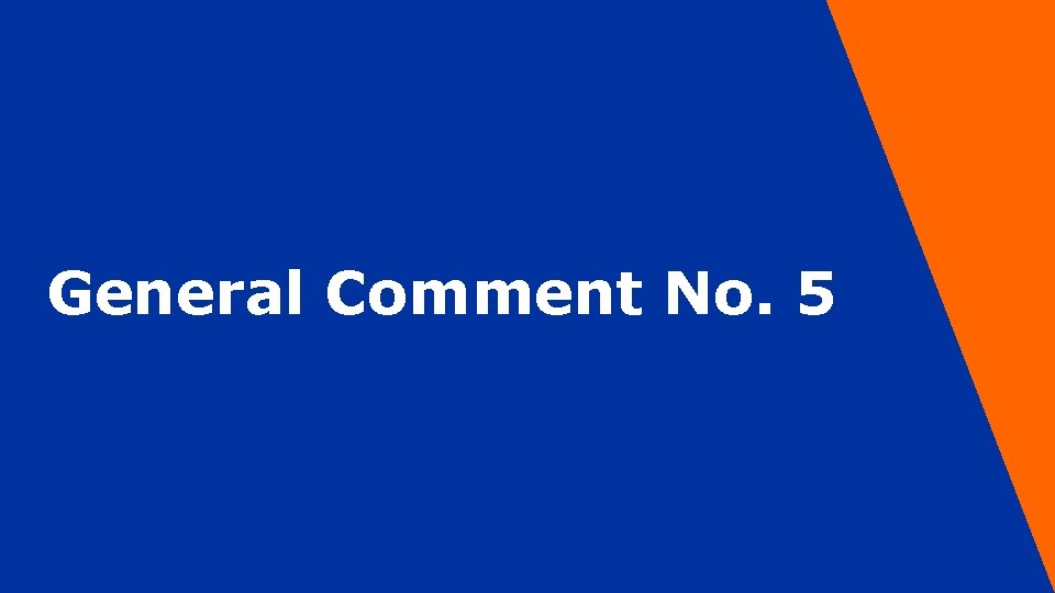 General Comment No. 5 