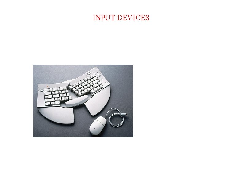 INPUT DEVICES 
