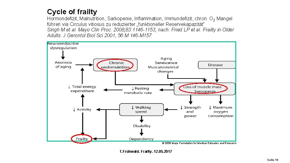 Cycle of frailty Hormondefizit, Malnutrition, Sarkopenie, Inflammation, Immundefizit, chron. O 2 Mangel führen via