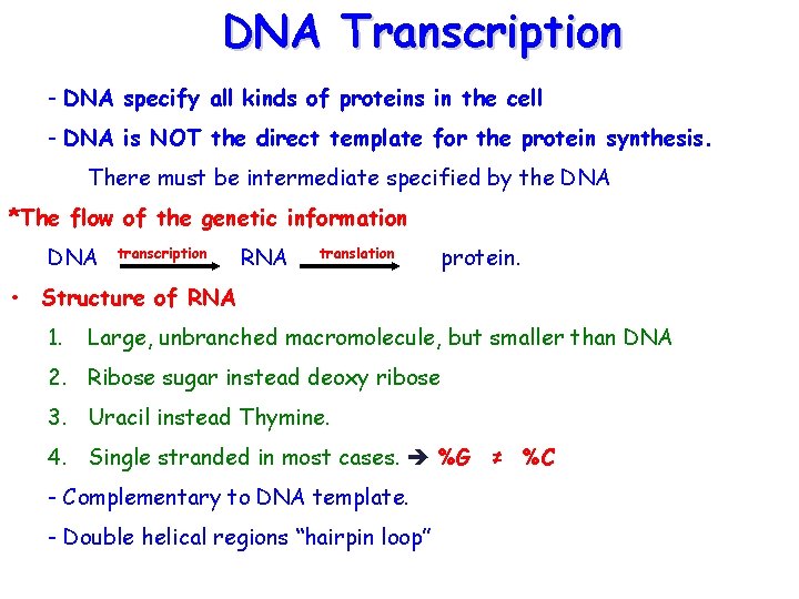 DNA Transcription - DNA specify all kinds of proteins in the cell - DNA