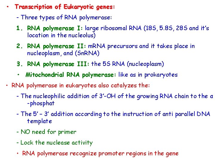  • Transcription of Eukaryotic genes: - Three types of RNA polymerase: 1. RNA