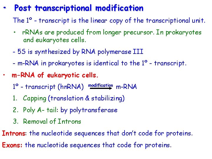  • Post transcriptional modification The 1º - transcript is the linear copy of