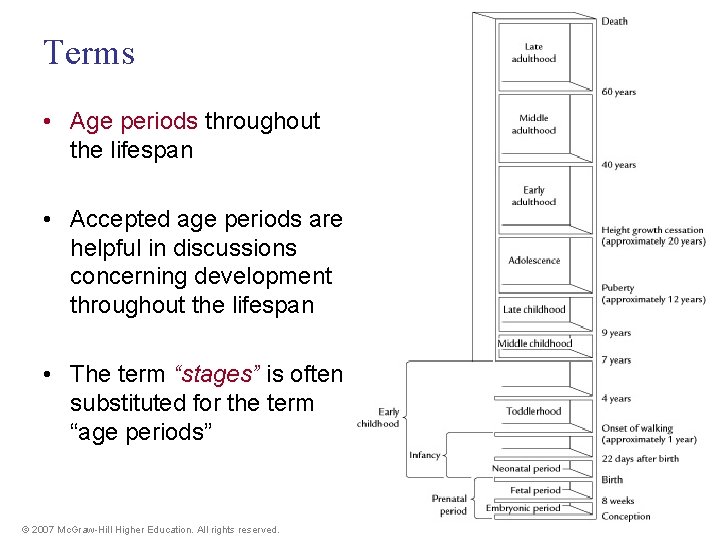 Terms • Age periods throughout the lifespan • Accepted age periods are helpful in