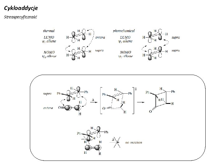 Cykloaddycje Streospecyficzność 