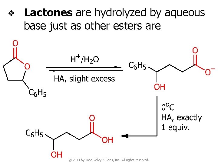 v Lactones are hydrolyzed by aqueous base just as other esters are © 2014