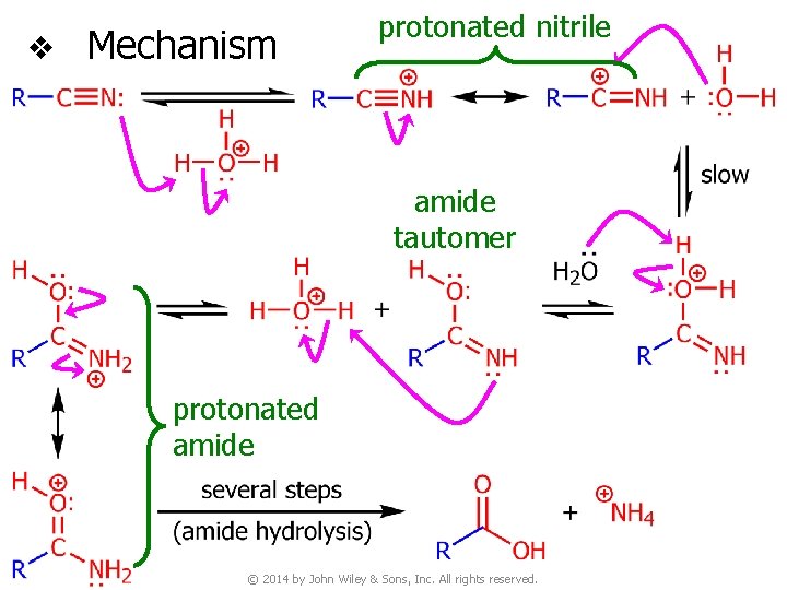 v Mechanism protonated nitrile amide tautomer protonated amide © 2014 by John Wiley &