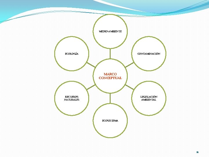 MEDIO AMBIENTE ECOLOGÍA CONTAMINACIÓN MARCO CONCEPTUAL RECURSOS NATURALES LEGISLACIÓN AMBIENTAL ECOSISTEMA 11 