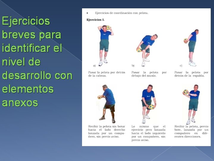 Ejercicios breves para identificar el nivel de desarrollo con elementos anexos 