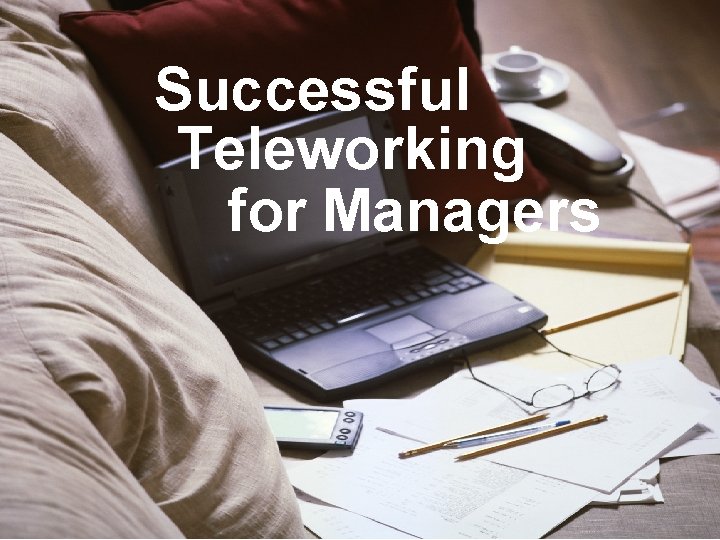 Successful Teleworking for Managers 
