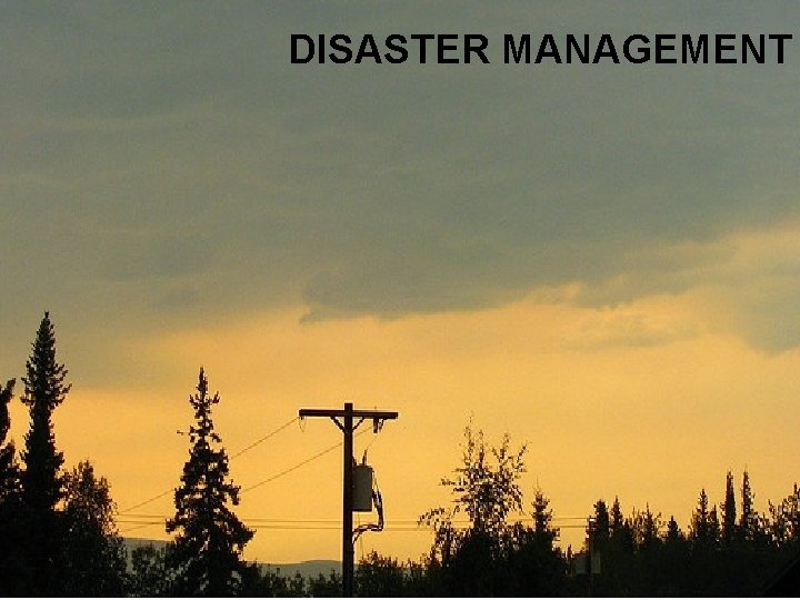 DISASTER MANAGEMENT 