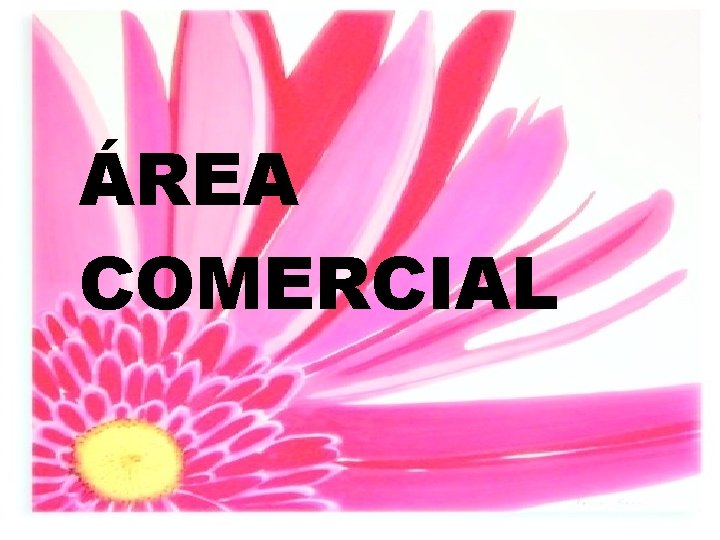 ÁREA COMERCIAL 