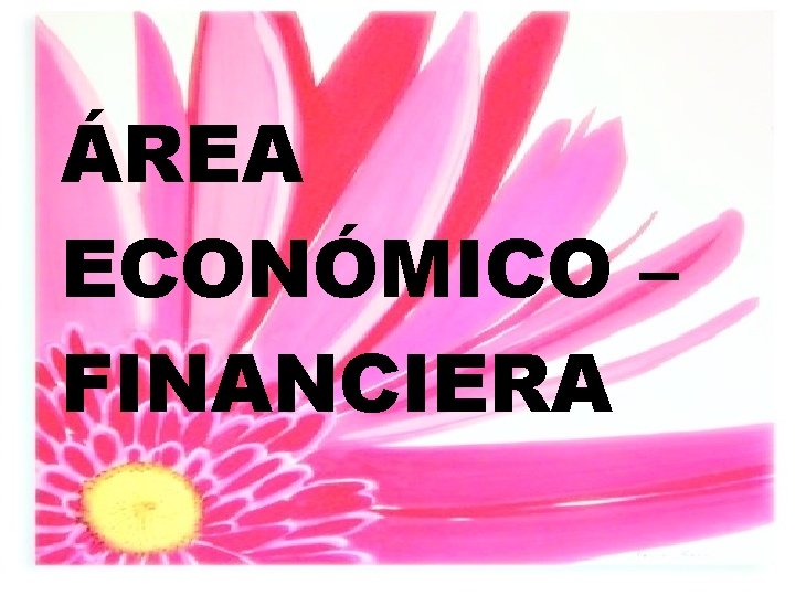 ÁREA ECONÓMICO – FINANCIERA 