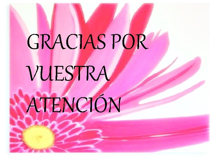 GRACIAS POR VUESTRA ATENCIÓN 