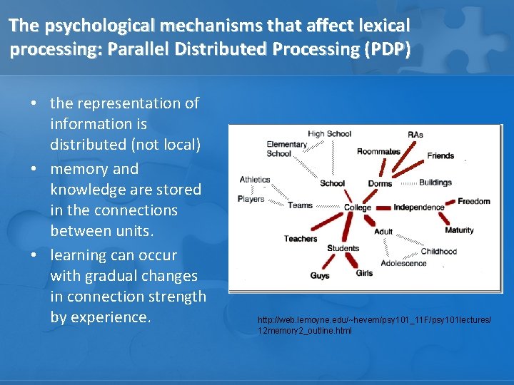 The psychological mechanisms that affect lexical processing: Parallel Distributed Processing (PDP) • the representation