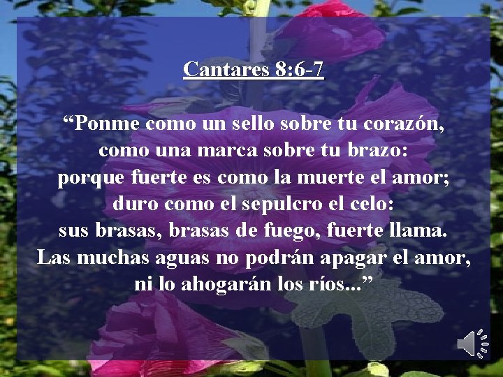 Cantares 8: 6 -7 “Ponme como un sello sobre tu corazón, como una marca