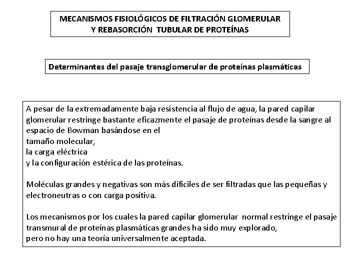 MECANISMOS FISIOLÓGICOS DE FILTRACIÓN GLOMERULAR Y REBASORCIÓN TUBULAR DE PROTEÍNAS Determinantes del pasaje transglomerular