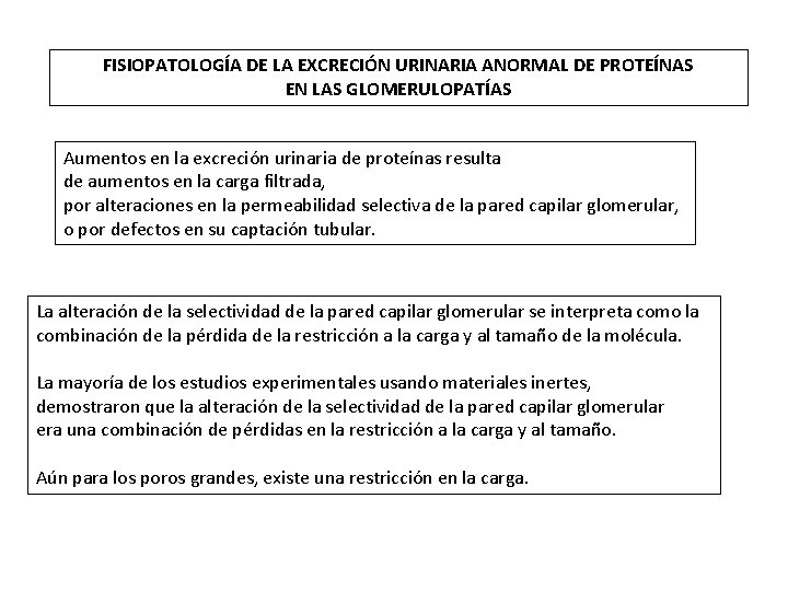 FISIOPATOLOGÍA DE LA EXCRECIÓN URINARIA ANORMAL DE PROTEÍNAS EN LAS GLOMERULOPATÍAS Aumentos en la