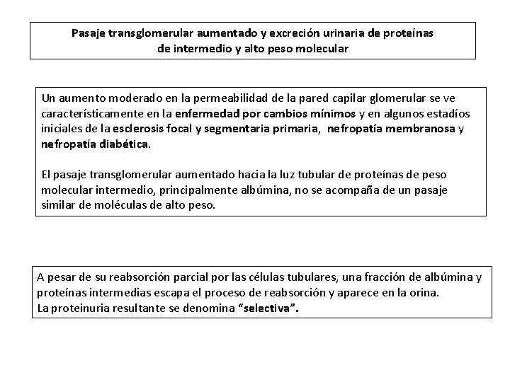 Pasaje transglomerular aumentado y excreción urinaria de proteínas de intermedio y alto peso molecular