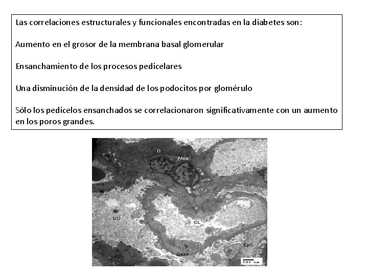 Las correlaciones estructurales y funcionales encontradas en la diabetes son: Aumento en el grosor