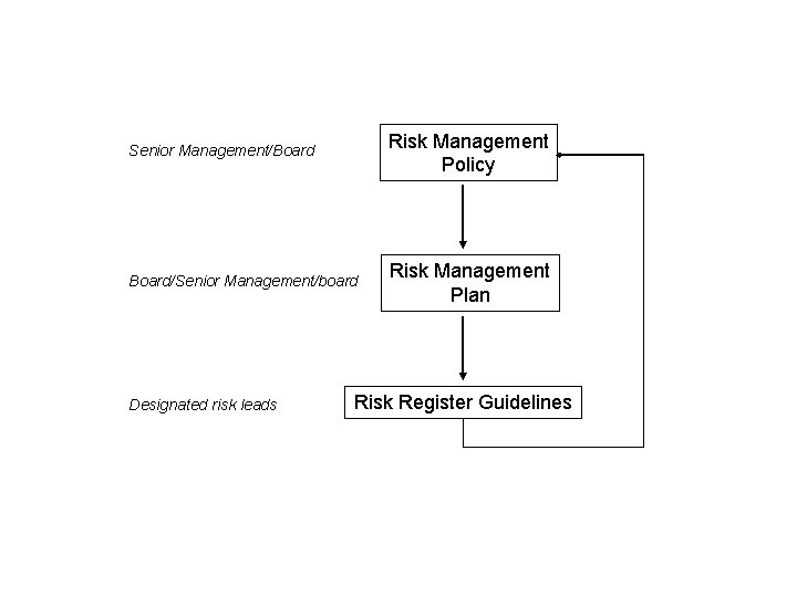 Senior Management/Board Risk Management Policy Board/Senior Management/board Risk Management Plan Designated risk leads Risk