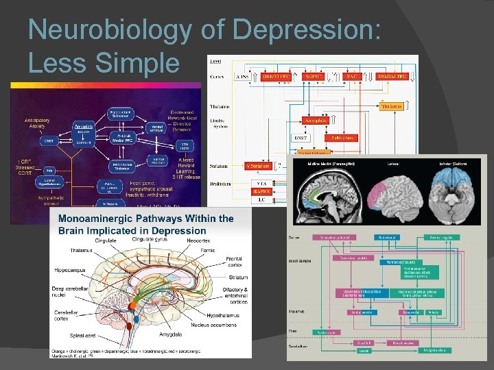 Neurobiology of Depression: Less Simple Neurobiology of Depression: Less Simple