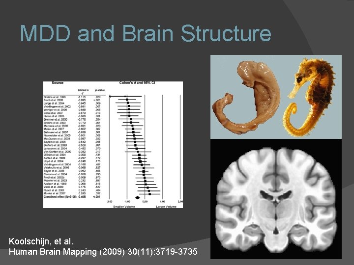 MDD and Brain Structure Koolschijn, et al. Human Brain Mapping (2009) 30(11): 3719 -3735 MDD and Brain Structure Koolschijn, et al. Human Brain Mapping (2009) 30(11): 3719 -3735