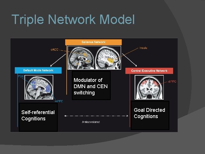Triple Network Model Modulator of DMN and CEN switching Self-referential Cognitions Goal Directed Cognitions Triple Network Model Modulator of DMN and CEN switching Self-referential Cognitions Goal Directed Cognitions